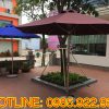 Mẫu dù che giá siêu rẻ Tân Tiến 01