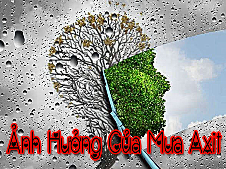 Mua axit anh huong den con nguoi