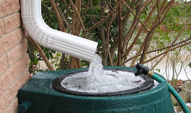 Nuoc mua co sach khong va su nguy hiem cua nuoc mua